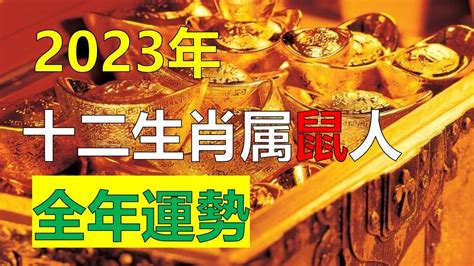 屬鼠水晶2023|2023年12生肖運勢大全——生肖鼠